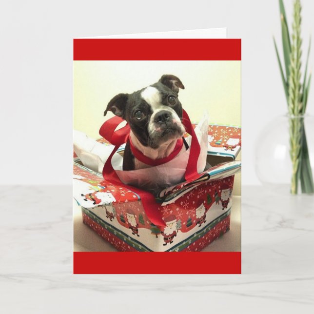 Boston Terrier Christmas Präsenzkarte Feiertagskarte (Vorderseite)