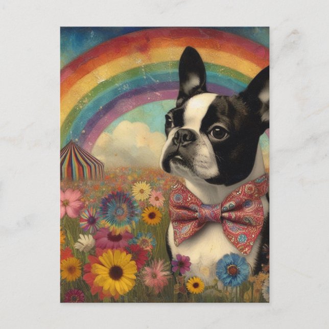 Boston Terrier Circus Hippie Rainbow Postkarte (Vorderseite)