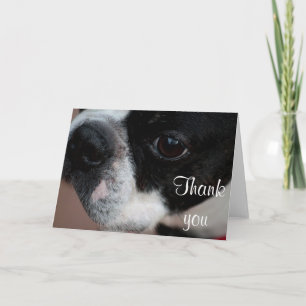 Boston-Terrier Dankeskarte