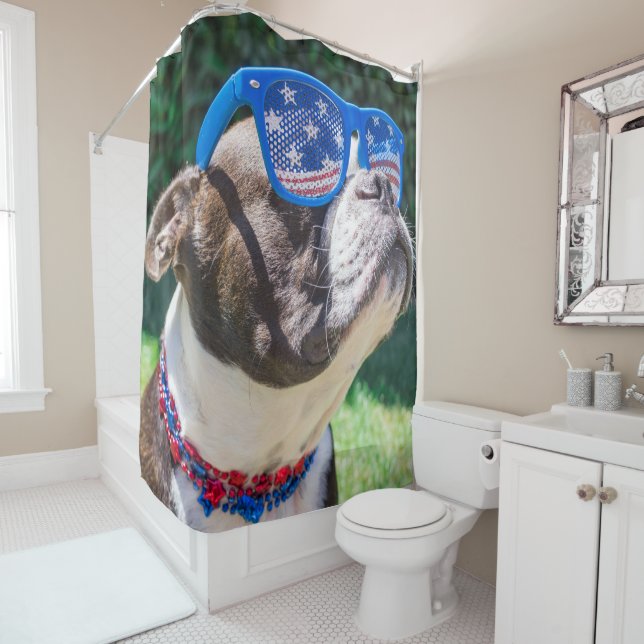 Boston Terrier dans Sunnies rideau de douche patri (En situation)