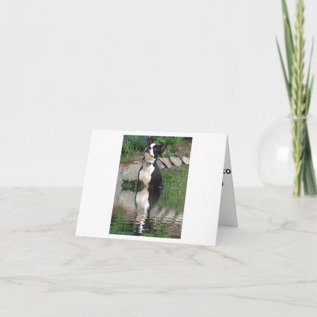 Boston Terrier, das an Sie denkt, kardieren Karte (Vorderseite)