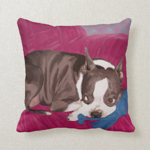Boston Terrier, das auf roter Couch - Kissen