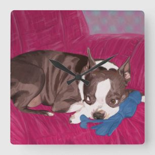 Boston Terrier, das auf roter Couch - Quadratische Wanduhr