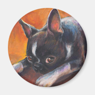 Boston Terrier, das Hund Svetlana Novikova malt Magnet