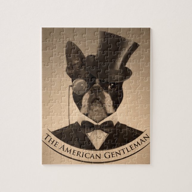 Boston Terrier - der amerikanische Herr (Vertikal)