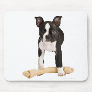 Boston-Terrier, der twisty Knochen schützt Mousepad