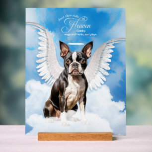 Boston Terrier Dog Angel mit Name Pet Memorial Acrylschild