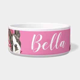 Boston Terrier Dog Napf