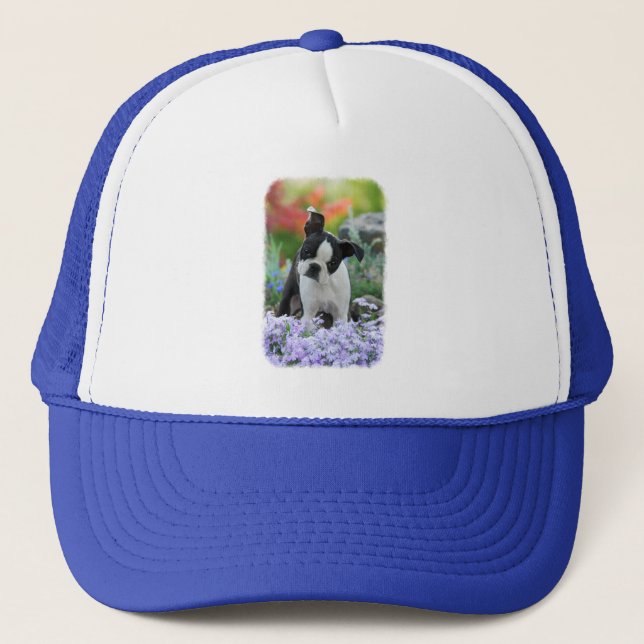 Boston Terrier Dog Niedlich Puppy Portrait Foto - Truckerkappe (Vorderseite)