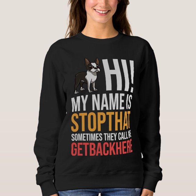 Boston Terrier Dog Puppies Owner Sweatshirt (Vorderseite)