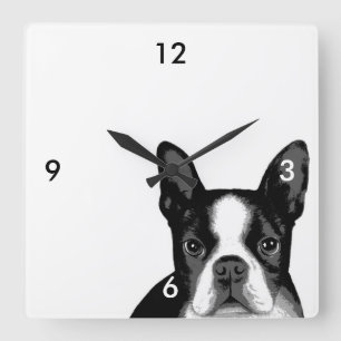 Boston Terrier Dog Quadratische Wanduhr