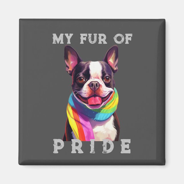 Boston Terrier Dog Rainbow Funny My Fur Pride Magnet (Vorne)