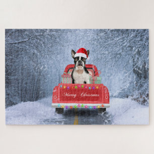 Boston Terrier Dog Snow sitzt im Truck