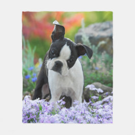 Boston Terrier Dog Welpe gemütlich Fleecedecke
