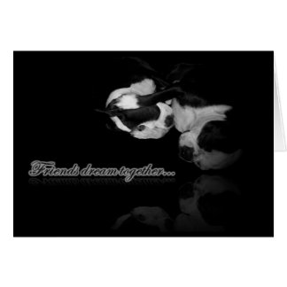 Boston Terrier Dreams Card
