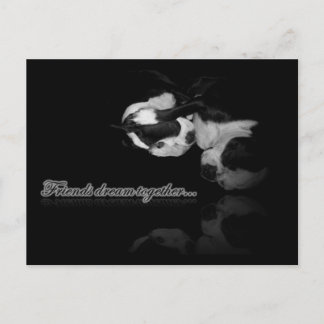 Boston Terrier Dreams - Carte postale