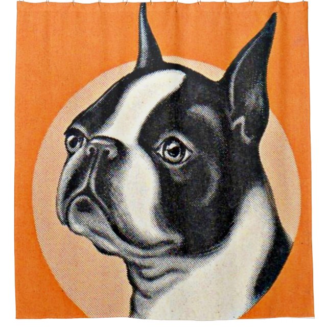 Boston Terrier Duschvorhang (Vorderseite)