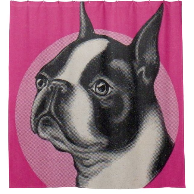 Boston Terrier Duschvorhang (Vorderseite)