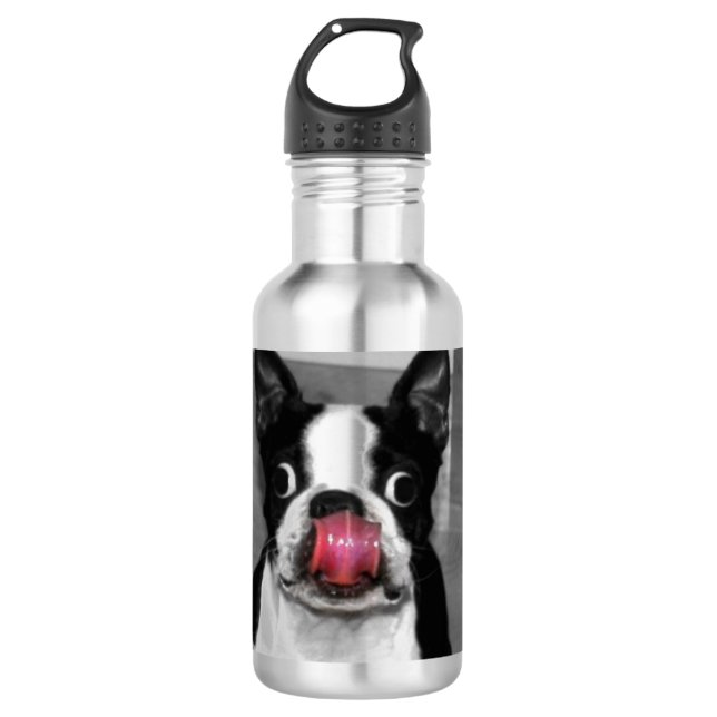 Boston Terrier Edelstahlflasche (Vorderseite)