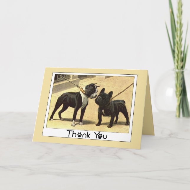 Boston Terrier et le Merci français Bulldog (Devant)