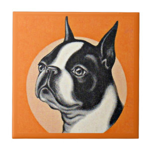 Boston Terrier Fliese