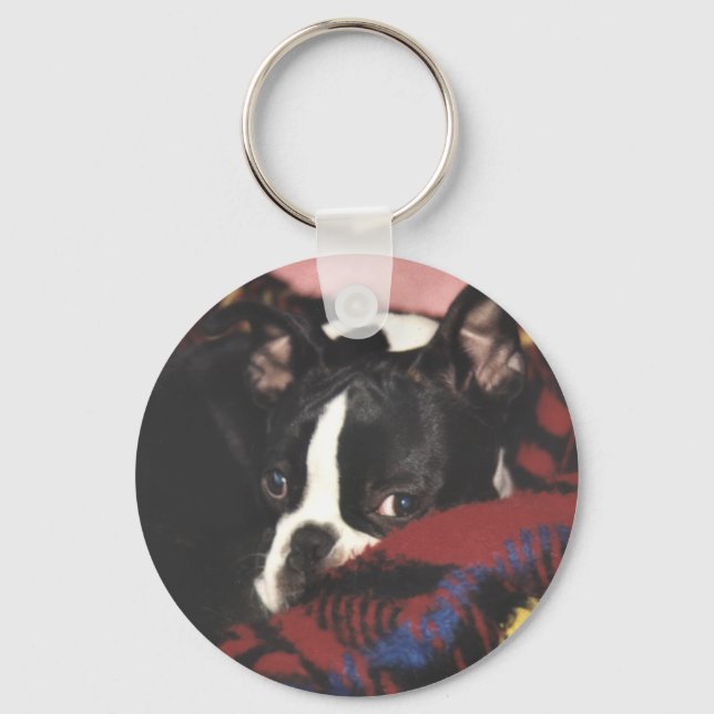 Boston Terrier: Flüchtige Blick-a-Boo Schlüsselanhänger (Vorderseite)