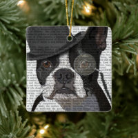 Boston Terrier, Formal Hound und Hat