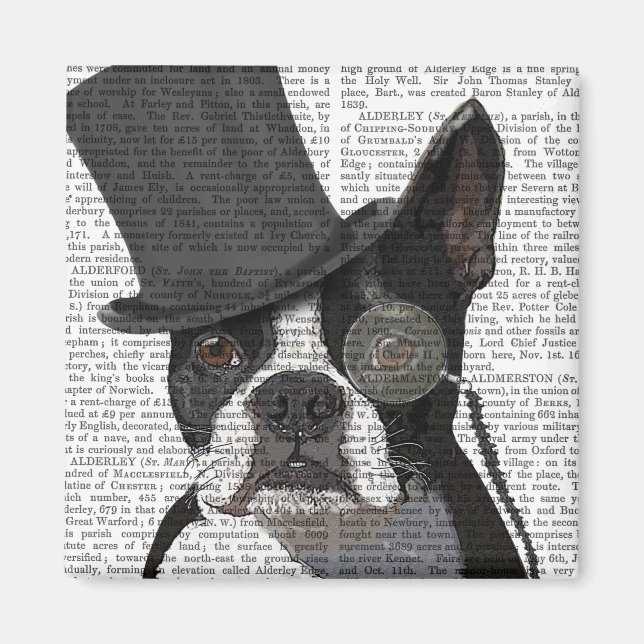 Boston Terrier, Formal Hound und Hat Magnet (Vorne)