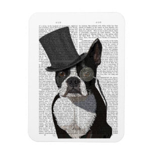 Boston Terrier, Formal Hound und Hat Magnet