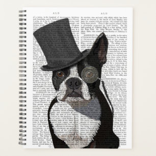 Boston Terrier, Formal Hound und Hat Planer