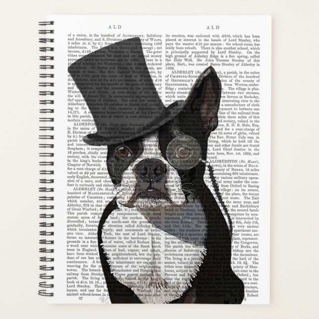 Boston Terrier, Formal Hound und Hat Planer (Vorderseite)