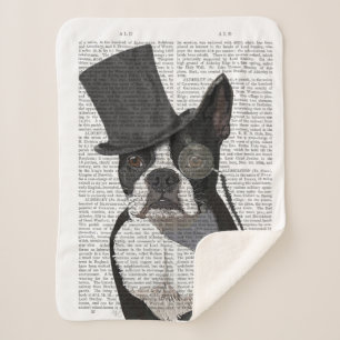 Boston Terrier, Formal Hound und Hat Sherpadecke