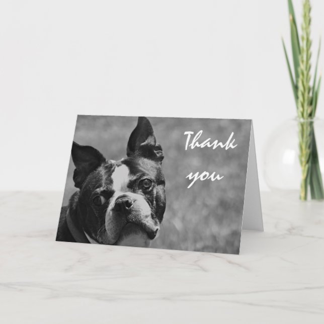 Boston Terrier Foto Dankeskarte (Vorderseite)