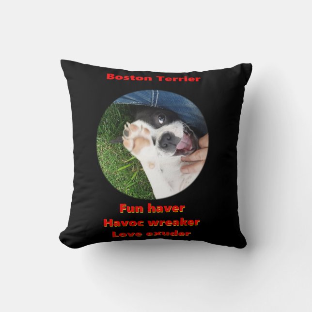 Boston Terrier - Fun Haver Kissen (Vorderseite)