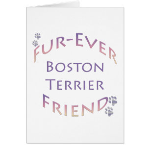 Boston Terrier Furever