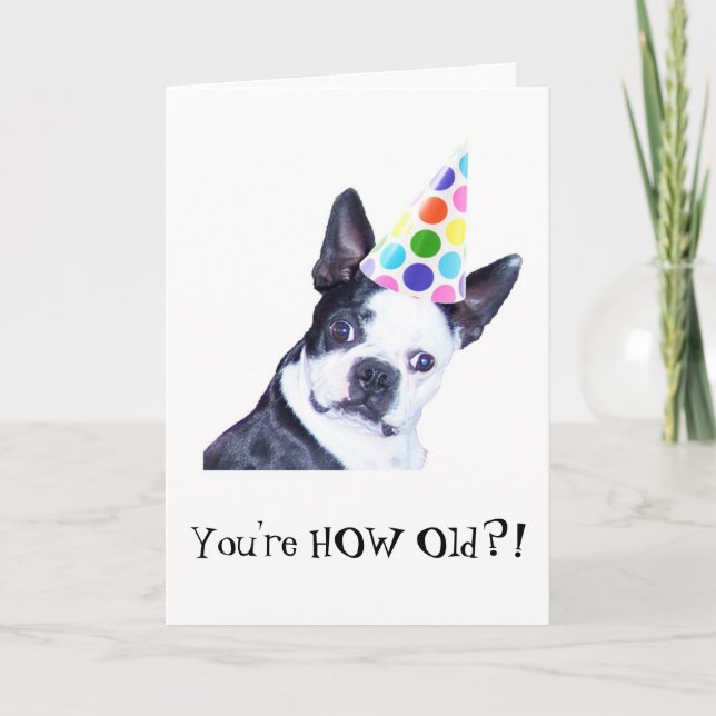 Boston-Terrier-Geburtstags-Party - Karte (Vorderseite)