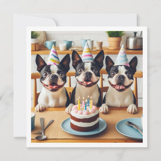 Boston Terrier Geburtstagskarte, Boston Terrier Einladung (Vorderseite)