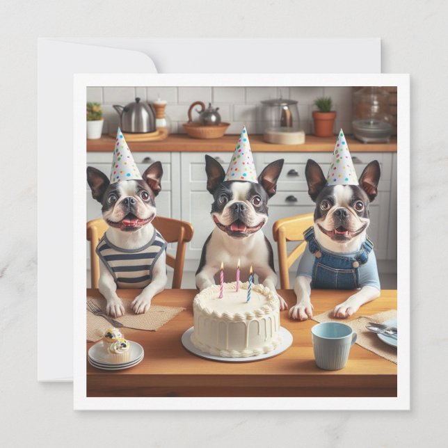 Boston Terrier Geburtstagskarte, Boston Terrier Einladung (Vorderseite)