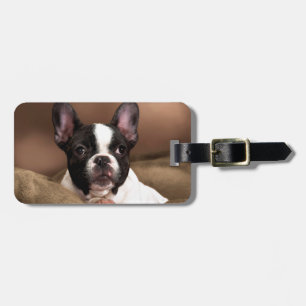 Boston Terrier Gepäckanhänger