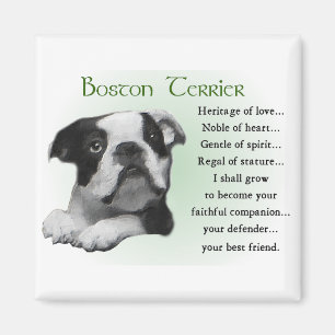 Boston Terrier Geschenke Magnet