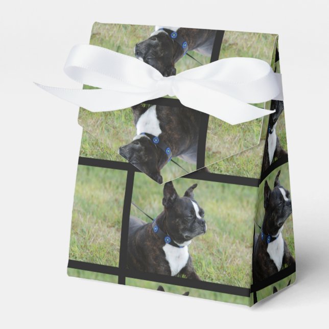 Boston Terrier Geschenkschachtel (Vorderseite)
