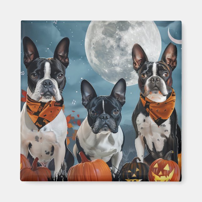 Boston Terrier Halloween Spooky Magnet (Vorne)
