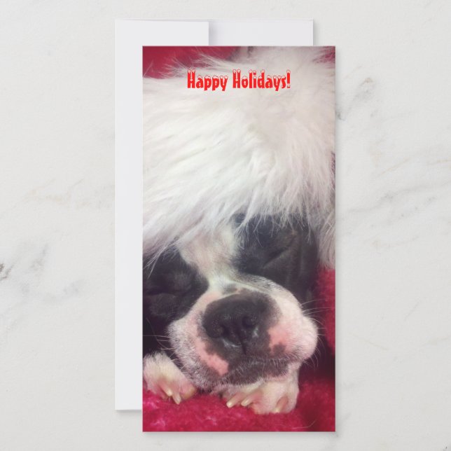 Boston Terrier Happy Holidays Fotokarte Feiertagskarte (Vorderseite)