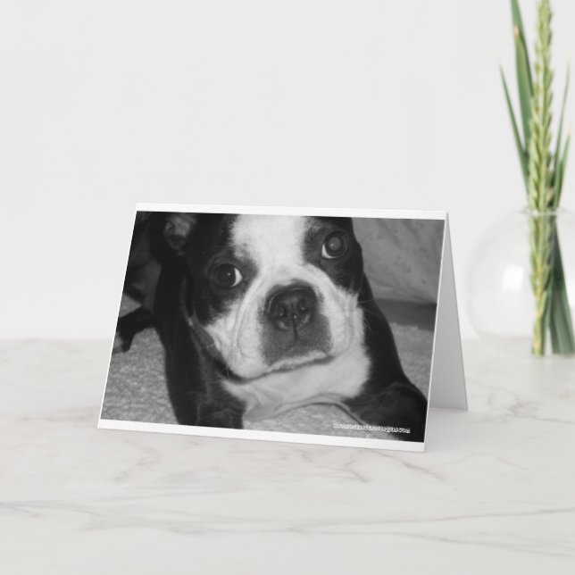 Boston-Terrier-Haustier-Beileids-Karten Karte (Vorderseite)