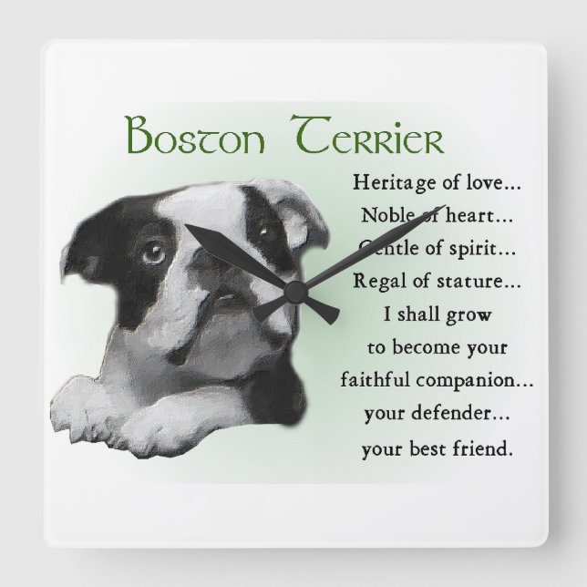 Boston Terrier Heritage of Liebe Quadratische Wanduhr (Vorderseite)