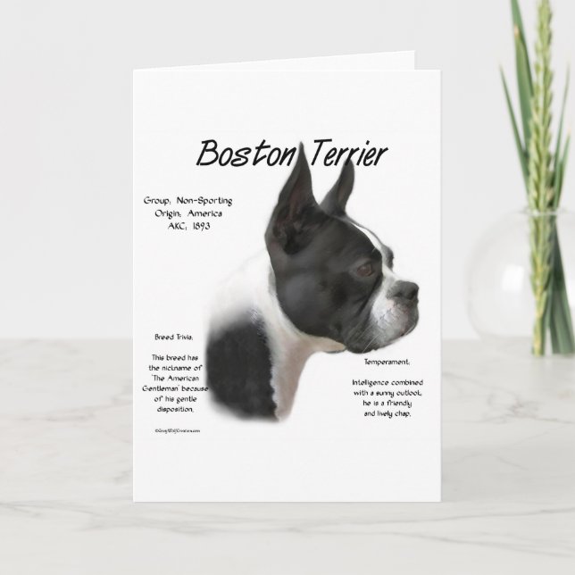 Boston Terrier History Design Feiertagskarte (Vorderseite)