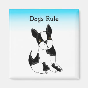 Boston Terrier Hund Magnet