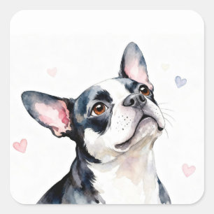 Boston Terrier Hund mit Herzen Quadratischer Aufkleber