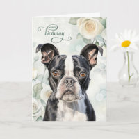 Boston Terrier Hund mit weißen Rosen Geburtstag