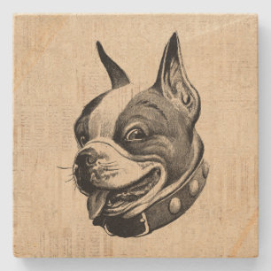 Boston Terrier Hund Niedlich Hund Hund Antiquitäte Steinuntersetzer